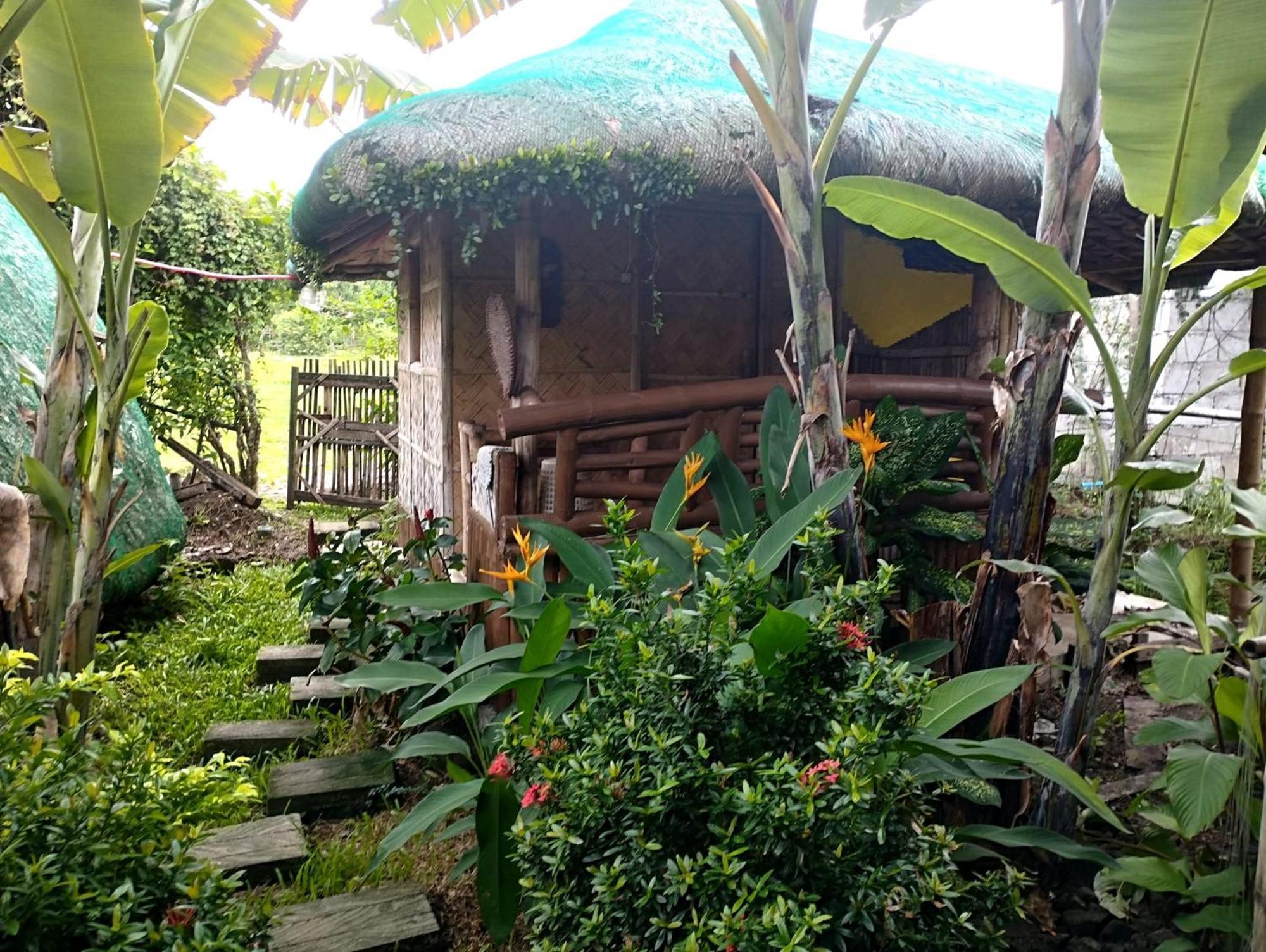 Dupas Luce Love Lodges Talipan Екстериор снимка